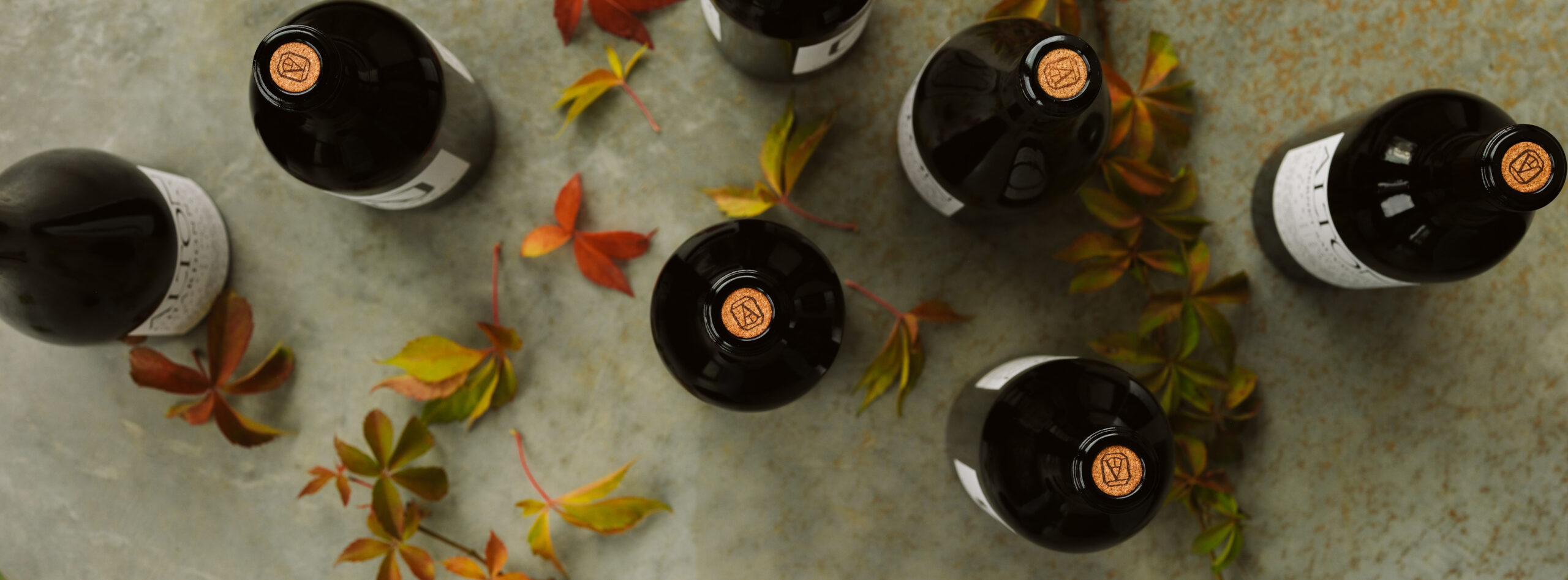 Alton fall release bottles among autumn leaves